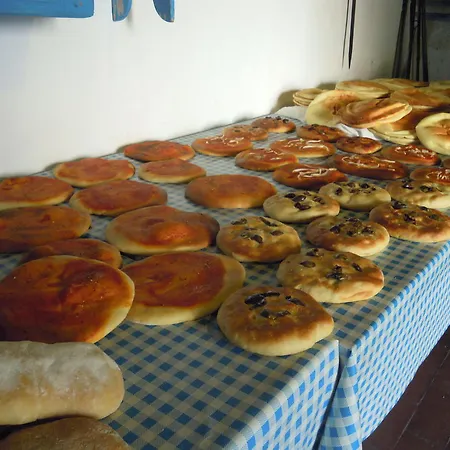 Camisadu Lantgård *