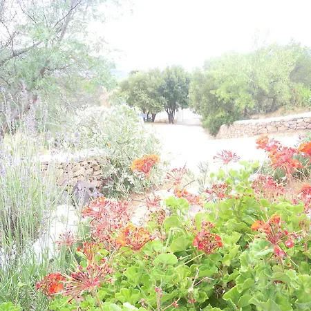 Lantgård Camisadu Oliena