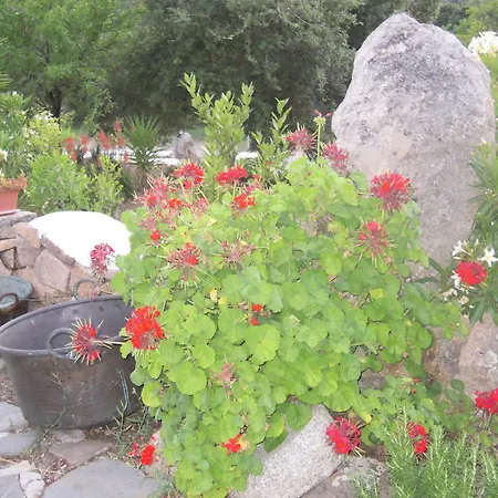 Feriegård Camisadu *