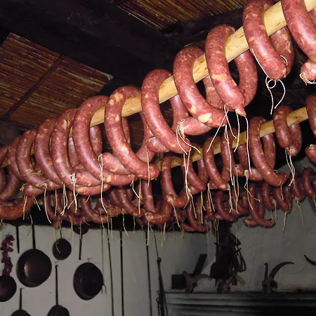 Camisadu Feriegård *