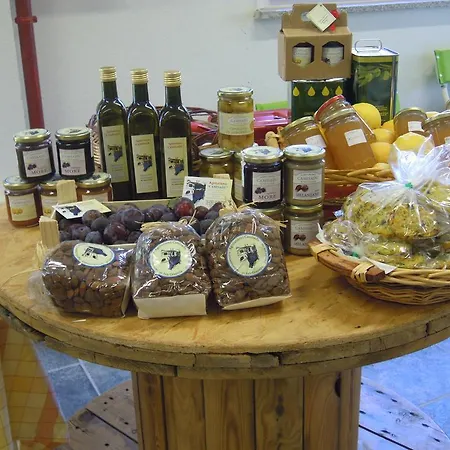 Camisadu Feriegård *