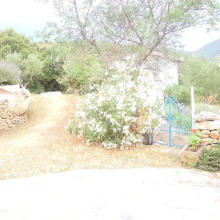 Camisadu Farm stay