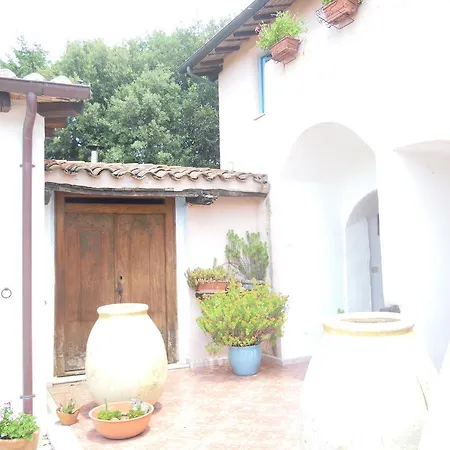 Camisadu Farm stay *