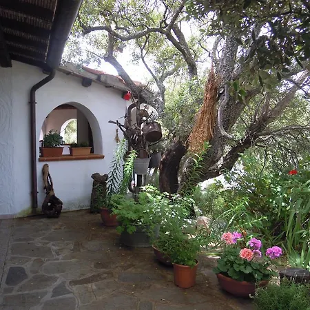 Farm stay Camisadu